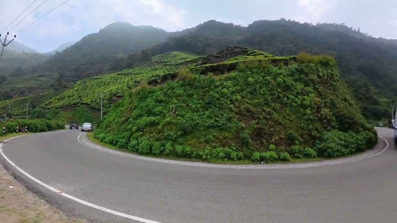 Tata Tea mountain in Munnar 