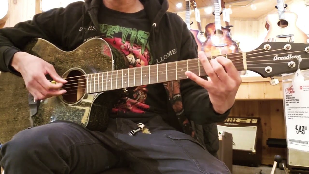 Breedlove ECO Rainforest (black gold)