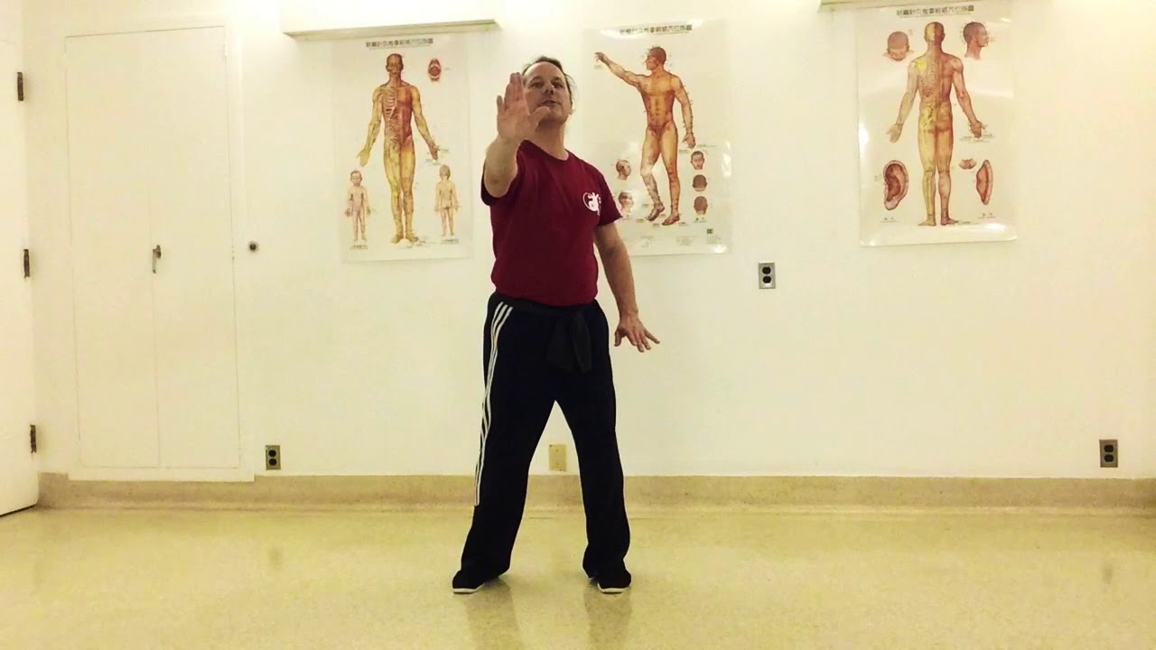 Fundamentals of Tai Chi - 4 : Brush Knee