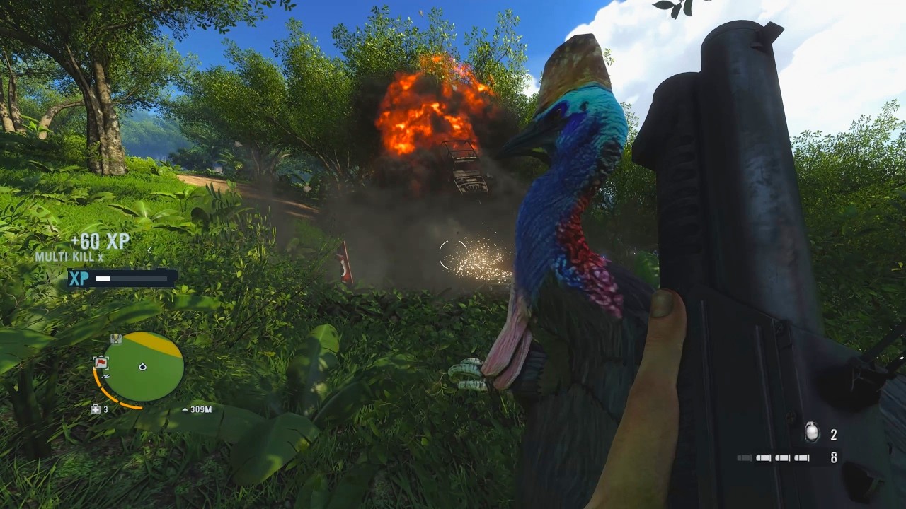 Revenge against the Cassowaries