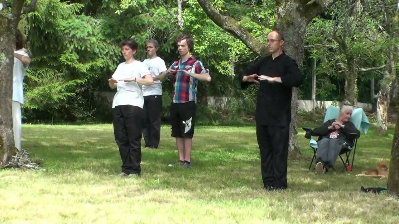 20-21 juin 2015_François Hainry (Disciple direct de YOU Xuan De) ABTCC