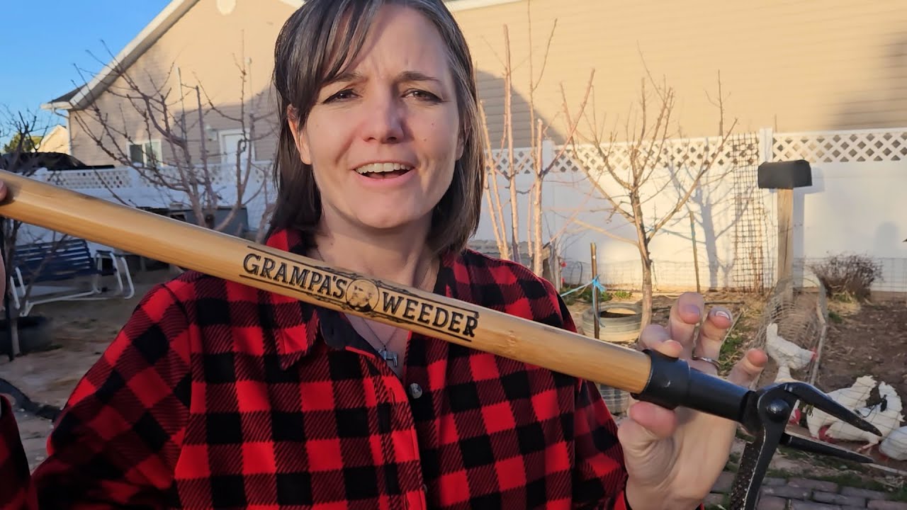 Review for Grampa's Weeder (The Original Stand Up Weed Puller Tool)