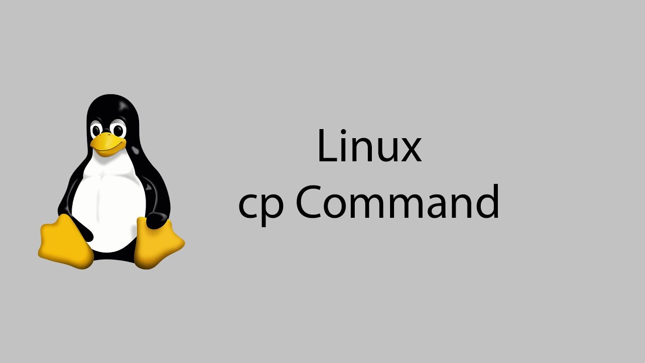 Learn Linux #9 - cp Command