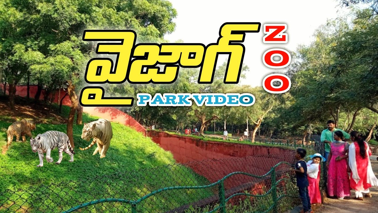 Vizag Zoo 🦁 | Indira Gandhi Zoological Park Bike Tour 🏍️ | PIN CODE TRAVELER
