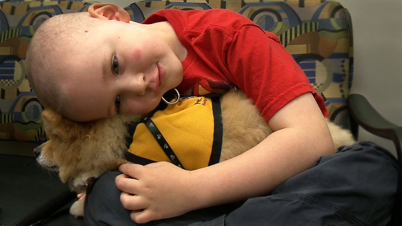 Pet Therapy Research Aimed at Children with Cancer