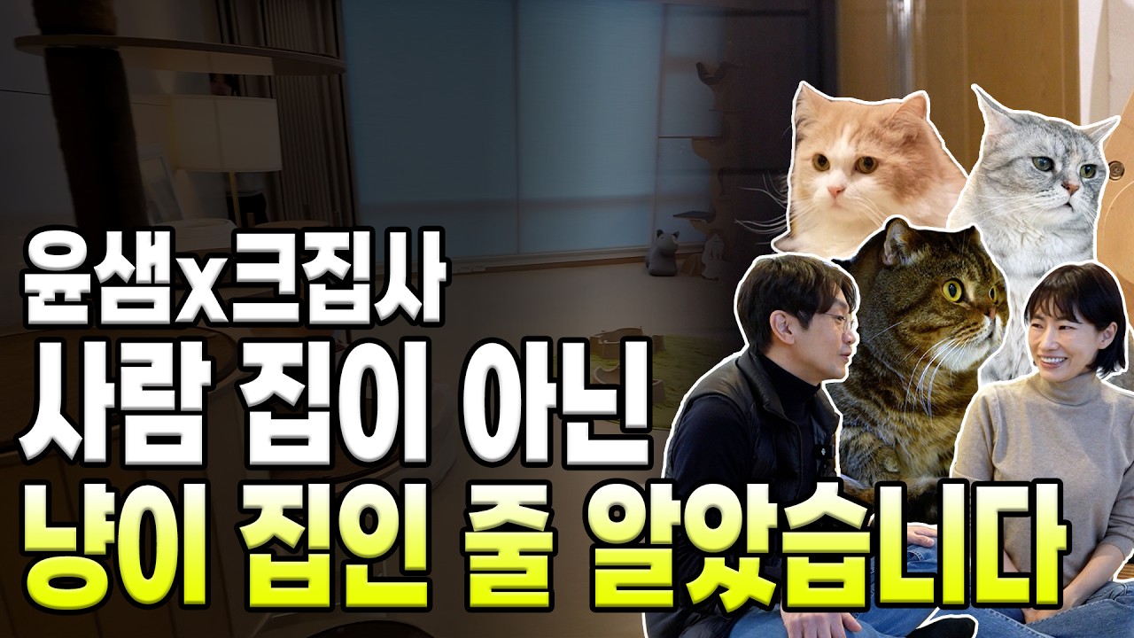 [윤샘x크집사] 여기가 고양이 집인가요? 사람 집인가요? 크집사님 댁에 방문 했습니다.
