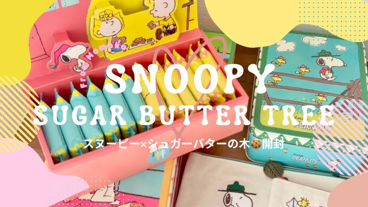 スヌーピー×シュガーバターの木🍪新作開封＆前回のビーグルスカウト缶も紹介🐾
