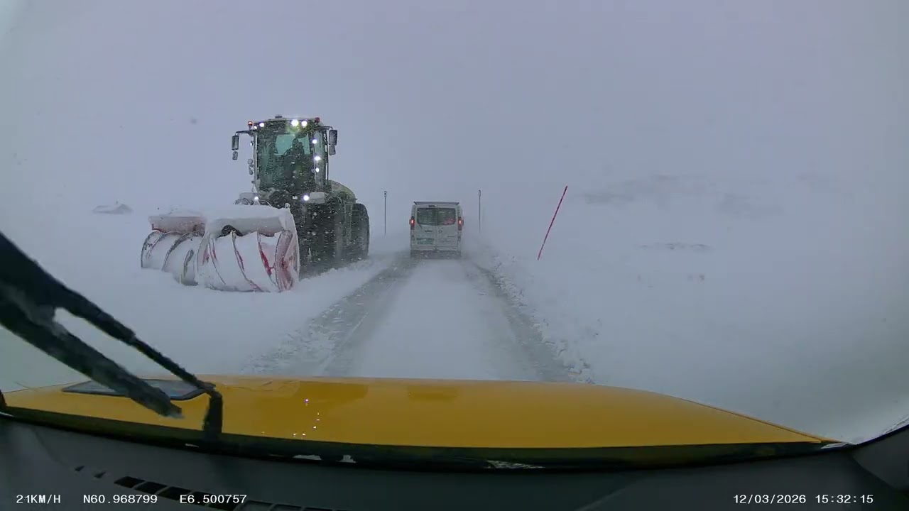 sneeuwbuitje