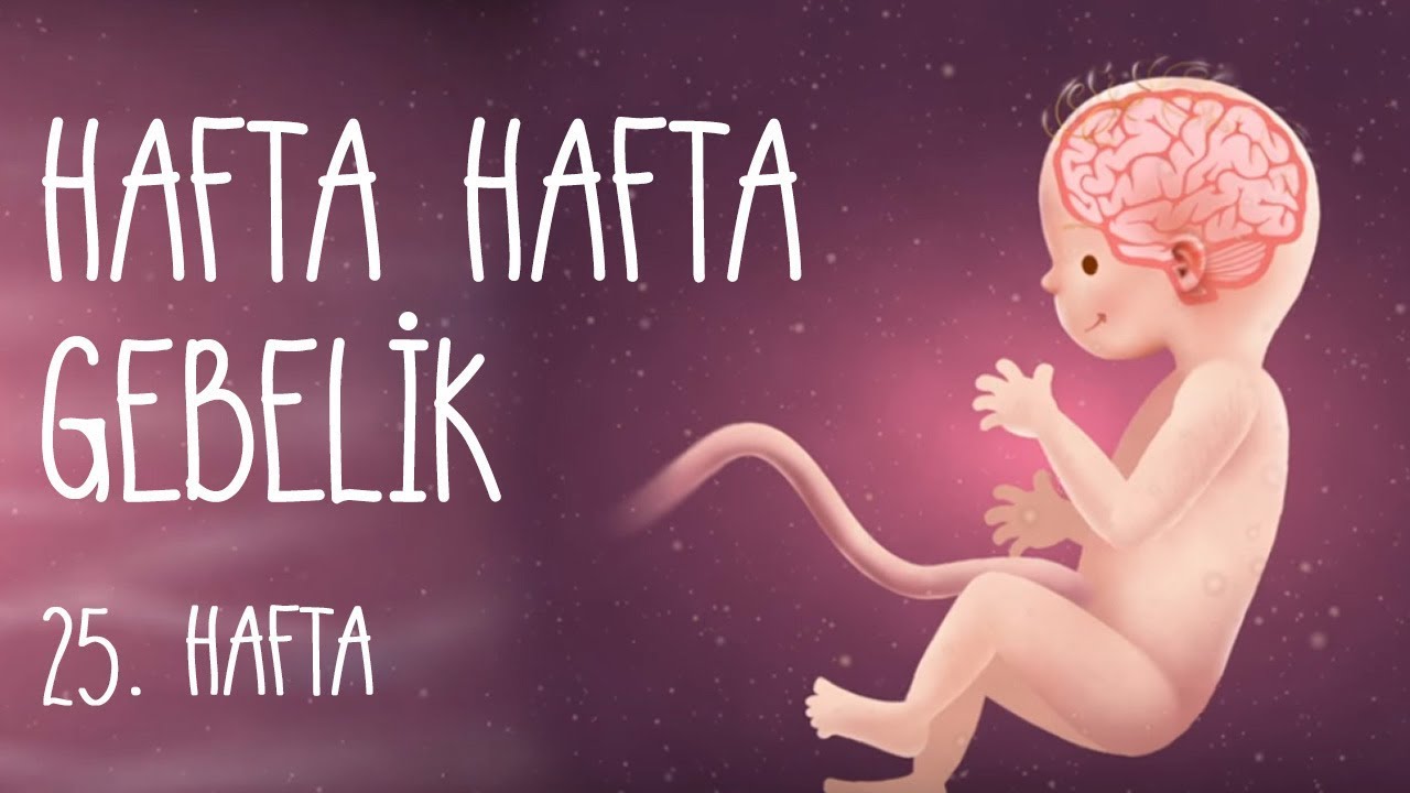 Hafta Hafta Gebelik 25. hafta