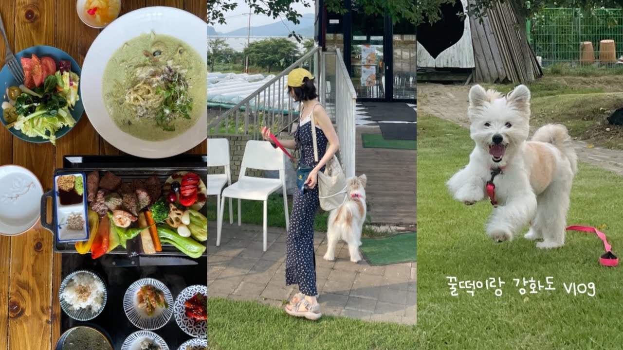 강화도 당일치기! 강아지랑 나들이 혹은 데이트 브이로그. 애견동반 식당 추천부터 갯벌 체험 동막해변까지🤭 아맞다 냥줍 할뻔했지만.., 그냥 할큄 당함 하하핳