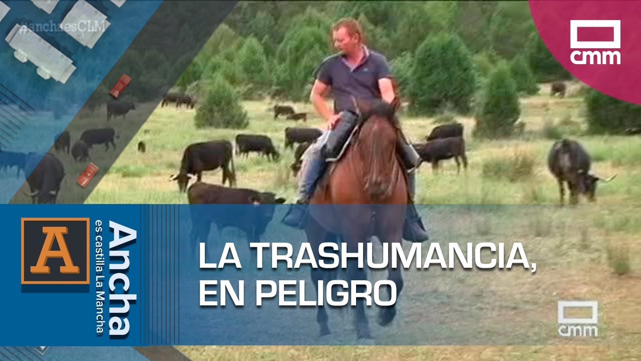 La trashumancia: una vida nómada en peligro de extinción | Ancha es Castilla-La Mancha