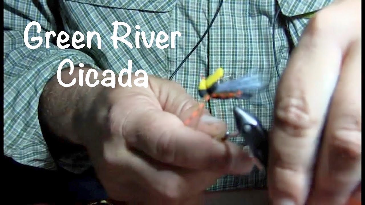 HCFF James Boehm Green River Cicada Advanced Fly Tying 2016 Green River Flies Part 1 of 3