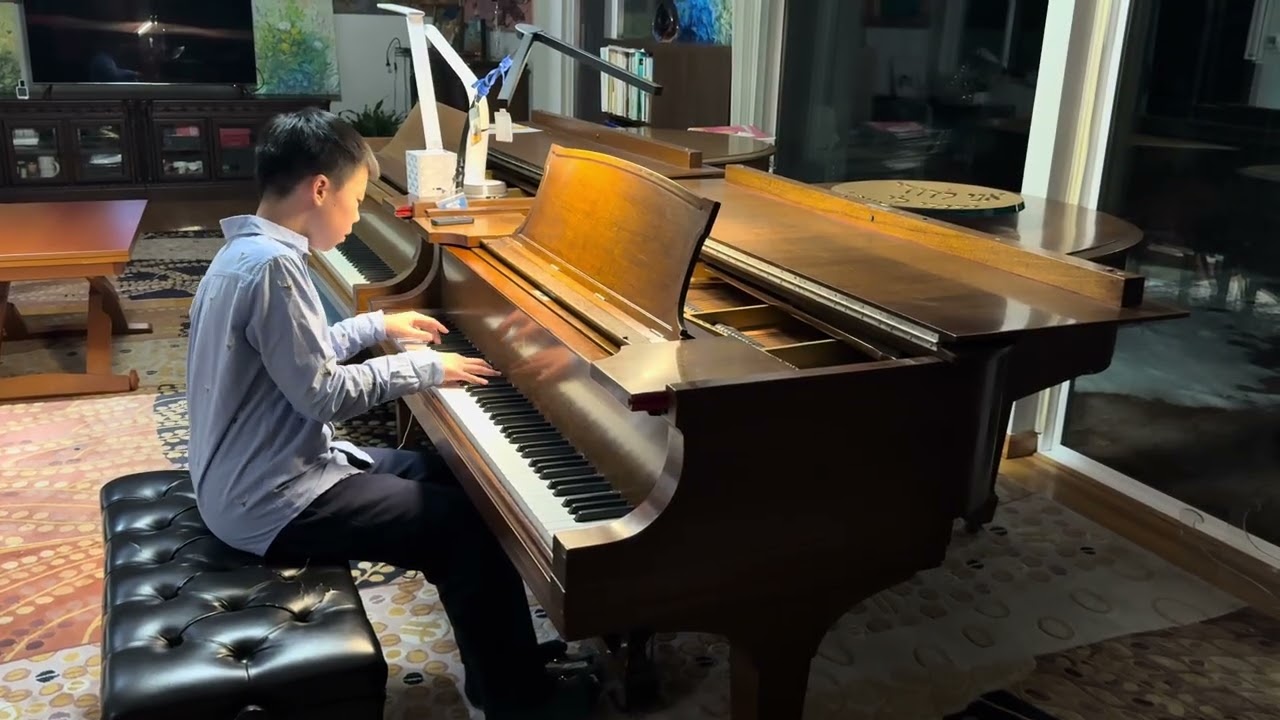 Ludwig Van Beethoven – Moonlight Sonata Op 27 No  2_Aidan Ma