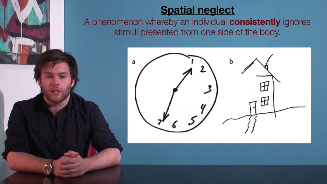 VCE Psychology: Spatial Neglect