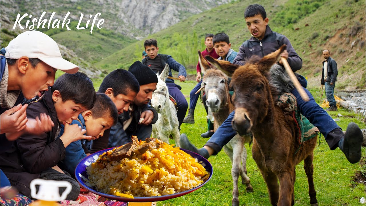 Uzbek polo with the donkeys and preparation of the plov | cooking in the nature