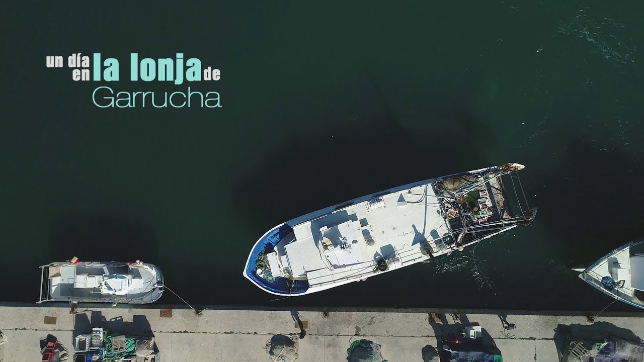 01. UN DÍA EN LA LONJA DE GARRUCHA