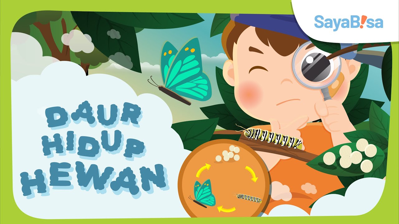 Inilah Daur Hidup Hewan yang Kamu Perlu Tau! | IPA | SayaBisa