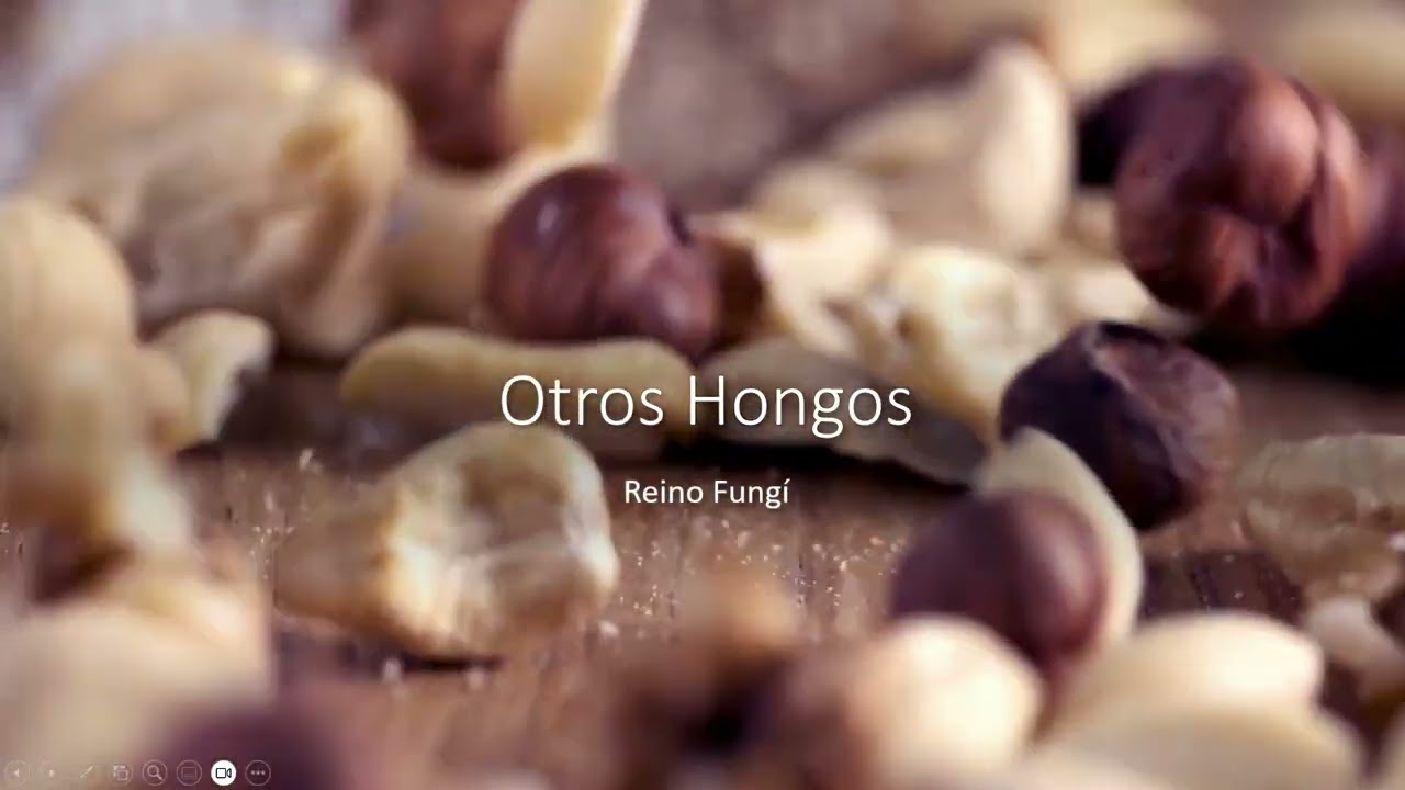 Reino Fungíb Parte II