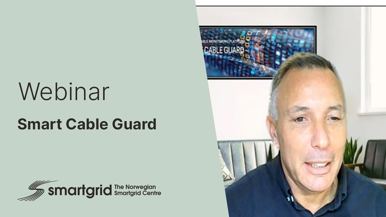 Smart Cable Guard