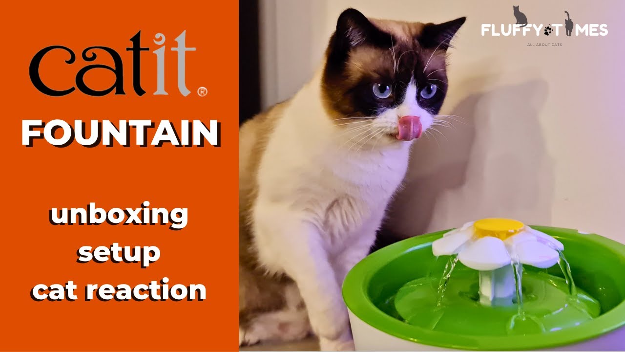 💦 Catit Water Fountain Unboxing + Review + Setup | Fluffy Times 🐾