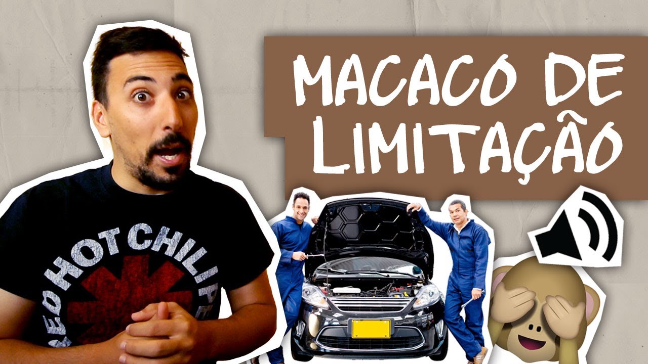 MACACO DE LIMITAÇÃO