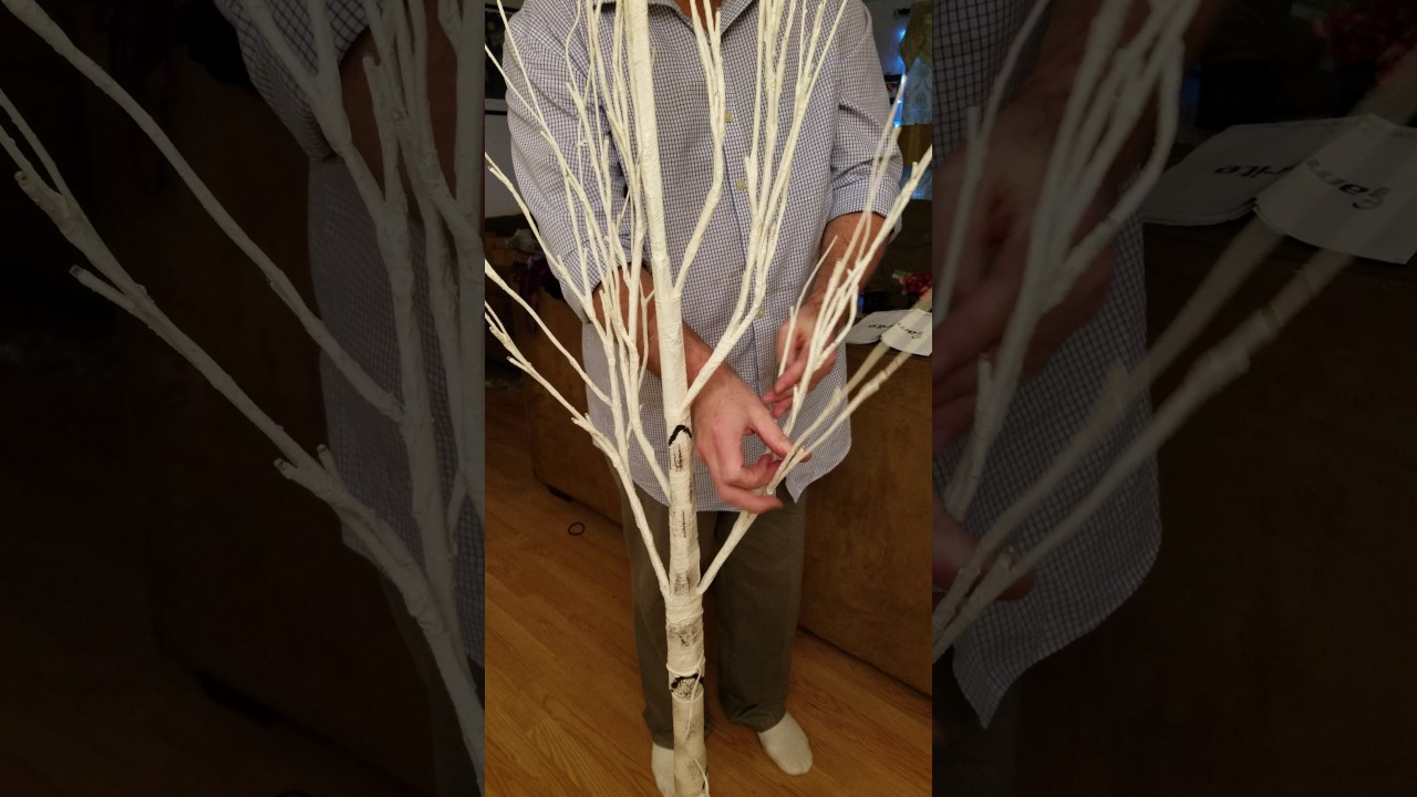 Birch tree