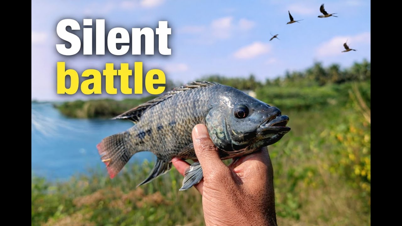 Friends Adventure & A Legendary Catch