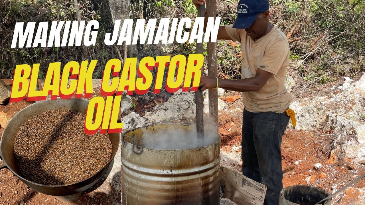 Why Jamaican BLACK CASTOR OIL is the Best in the World- How it's made