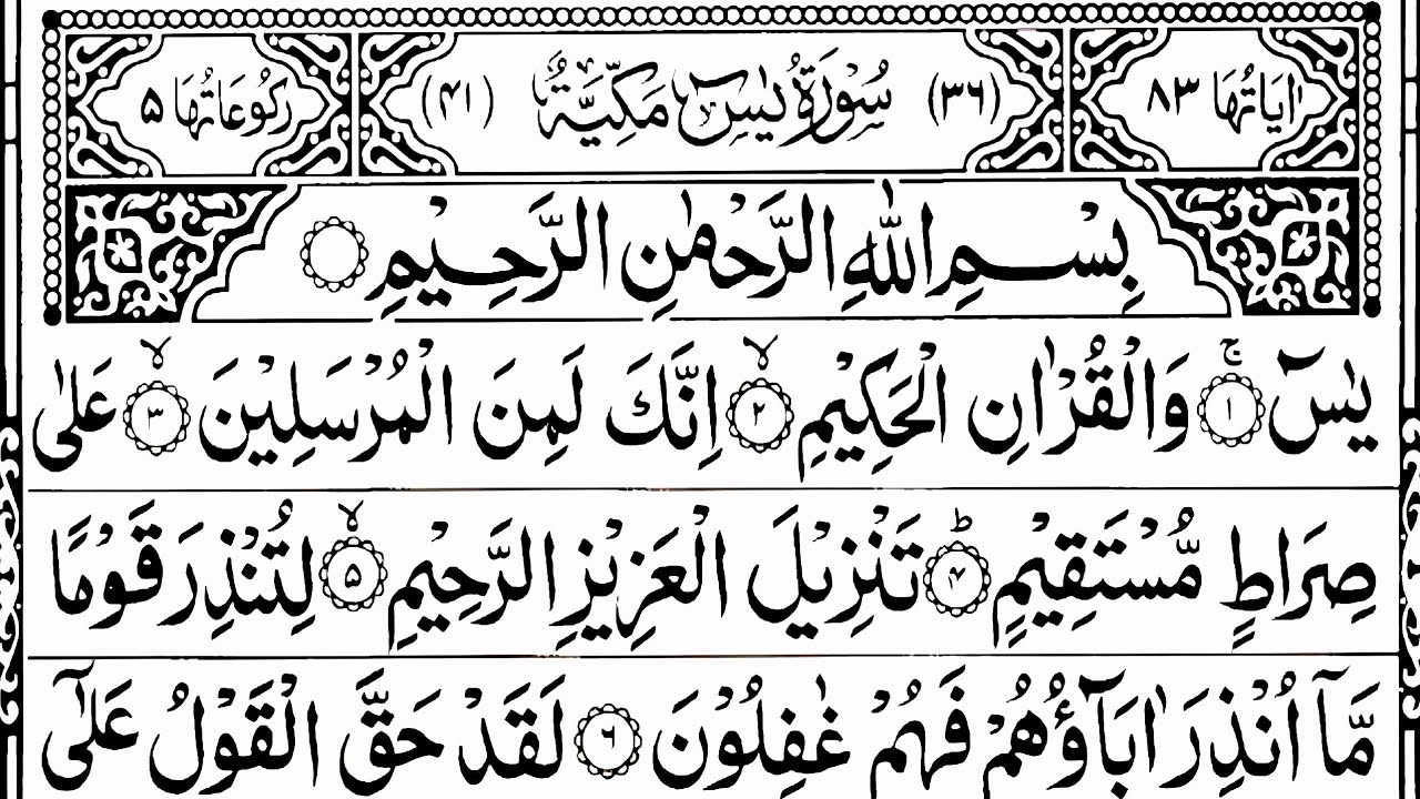 Surah Yaseen Surah Rahman Surah Mulk 4 kul Ayatul Kursi Surah Baqarah by Hafiz Farid (308)