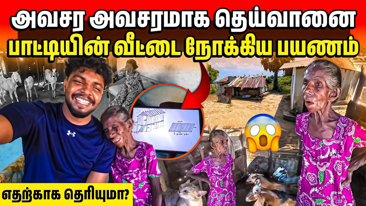 தெய்வானை பாட்டியின் பல வருட ஆசை நிறைவேற போகிறது🥺 | Rj Tamizha 