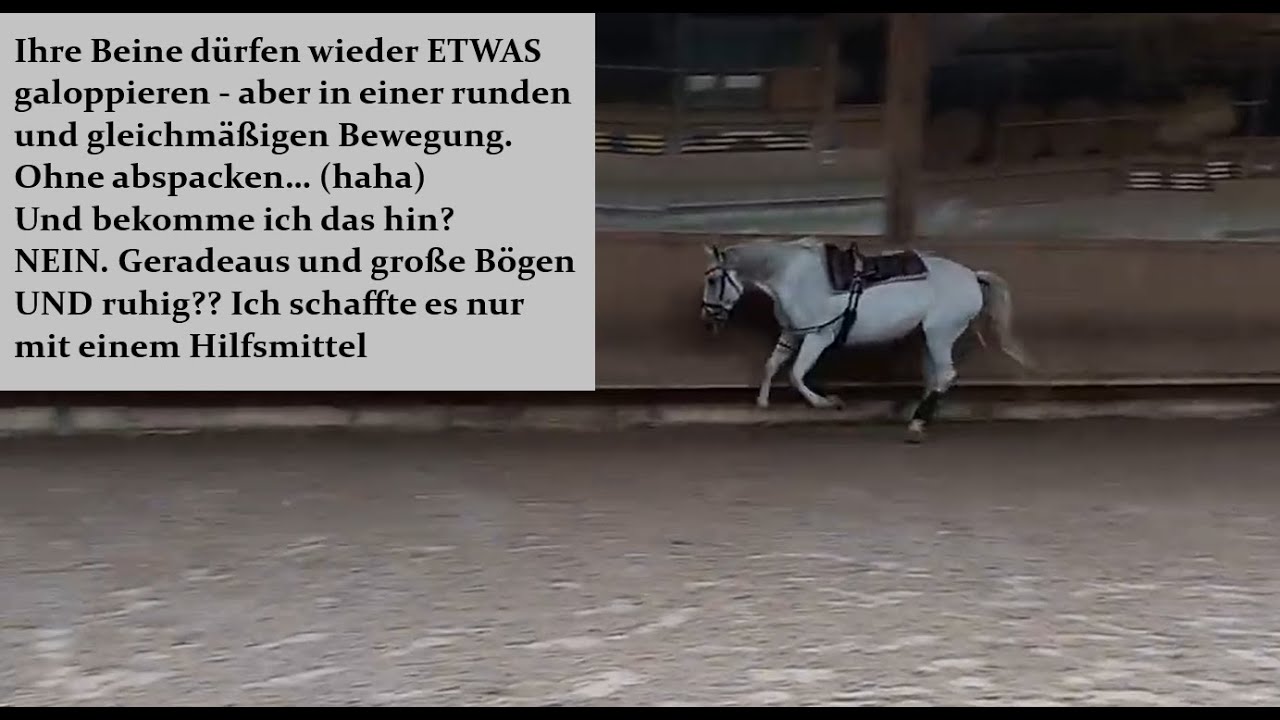 Ausbinderhasser warten lieber auf das nächste Video mit der Doppellonge