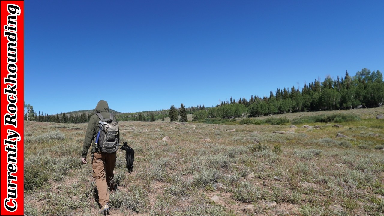 Search for the Source // Exploring Mammoth Creek in Dixie National Forest
