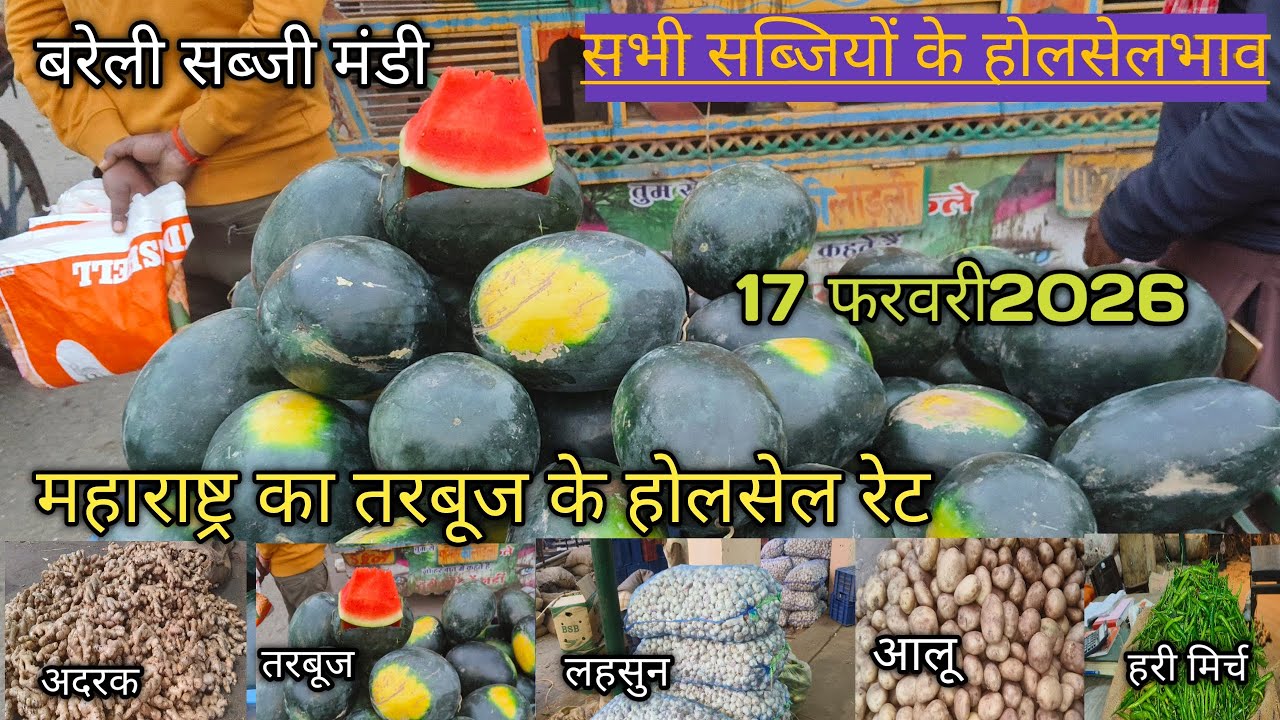 Bareilly sabji mandi 17 February 2026# #streetfood #reels #vegitablemarket #vegitablemarket #sabji 