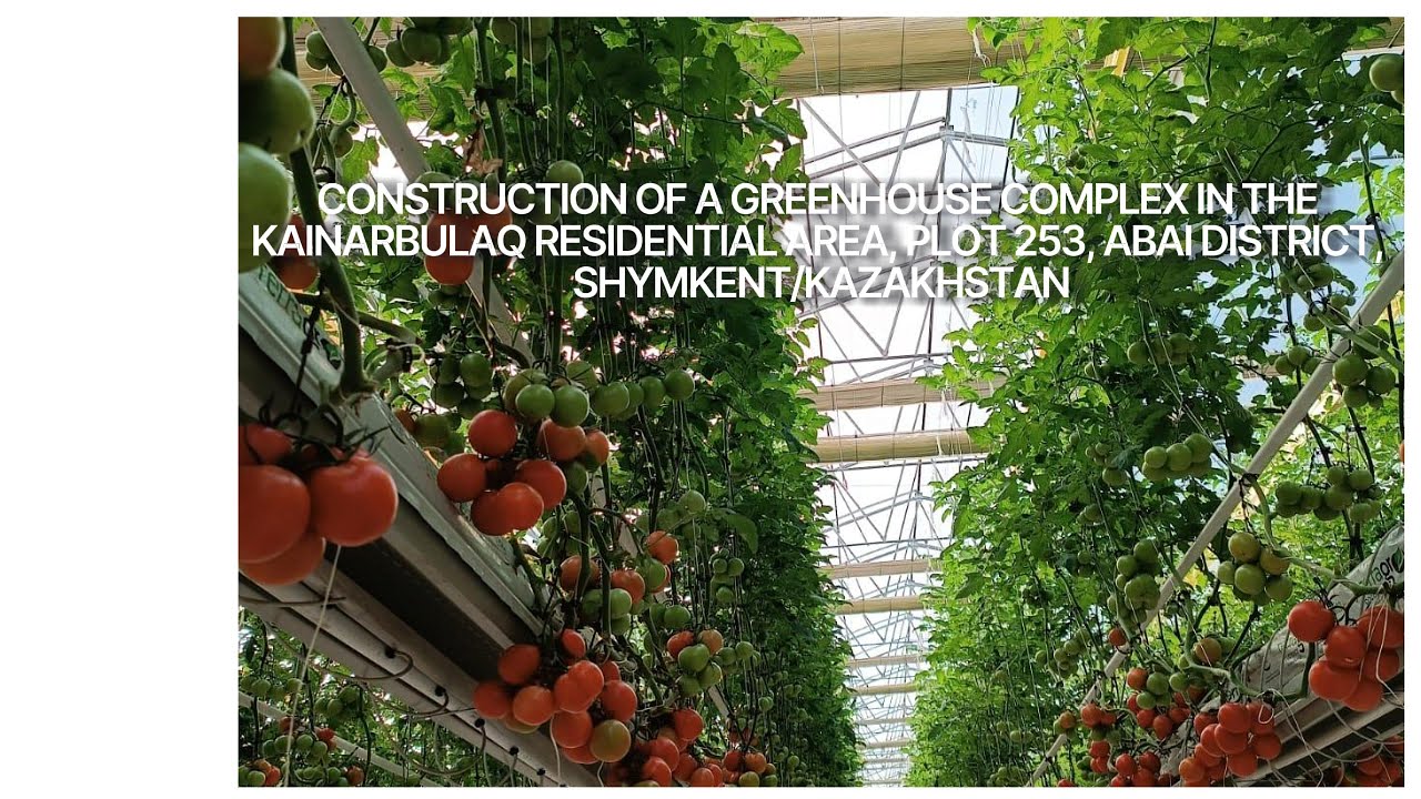 Construction of a greenhouse complex in the Kainarbulaq residential area, plot 253, Shym.KZ