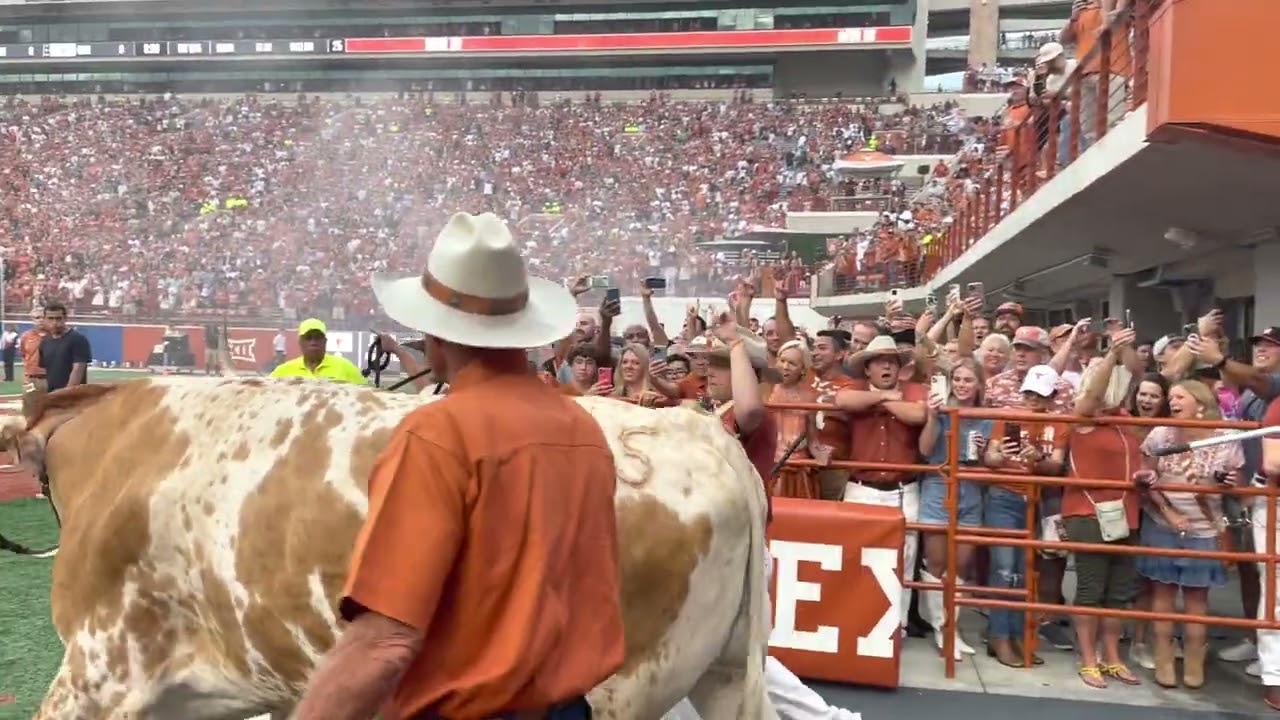 Bevo Walkout