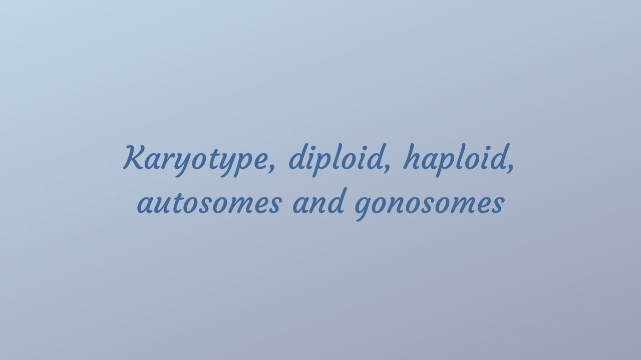 Diploid & haploid cells, Karyotype and types of chromosomes
