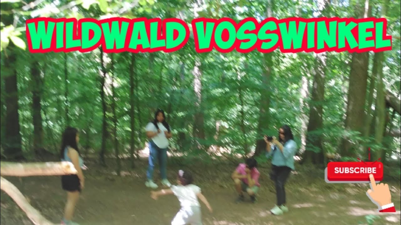 Wildwald Vo&szlig;winkel | Arnsberg Germany
