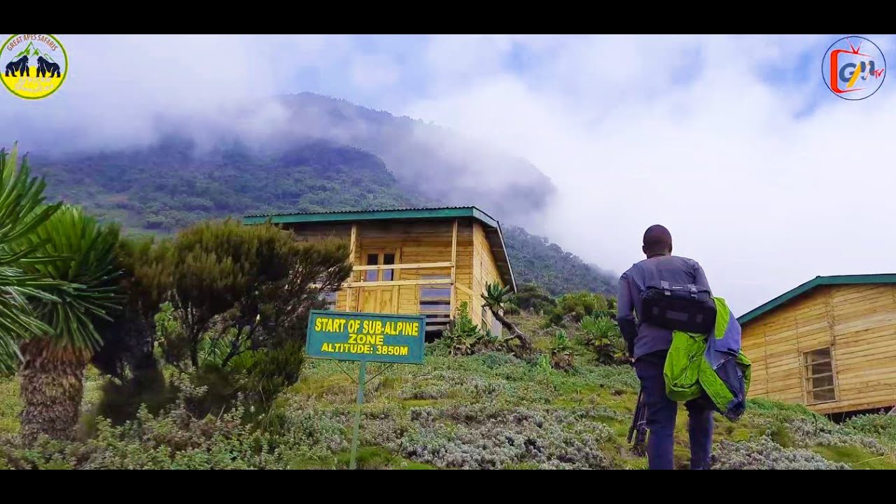HIKING MOUNT MUHABURA | MUHAVURA. Offering Adventure for Climbers