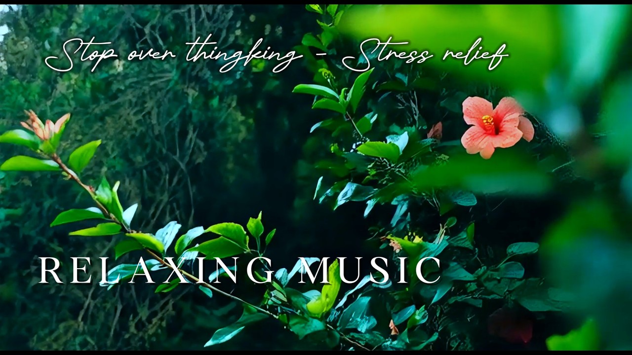 Refresh Your Being 🌻 Dawn Petals Exquisite Piano | Oxy Music