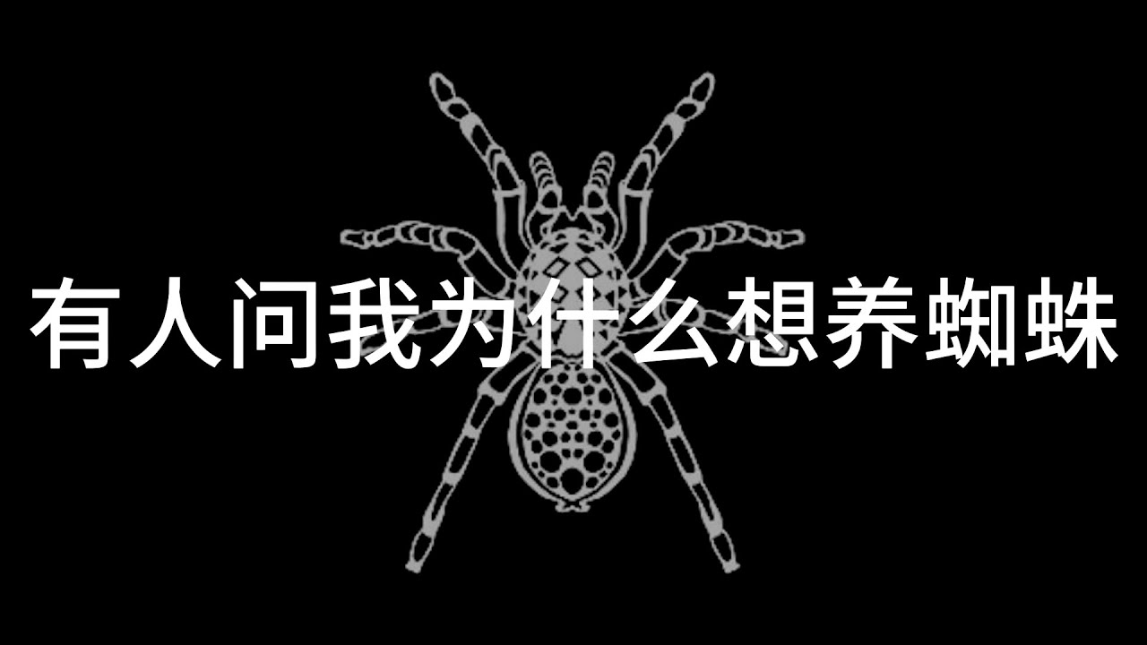 有人问我为什么想养捕鸟蛛 爬宠科普vlog