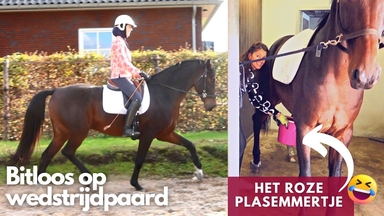 Nooit verwacht: bitloos op Jai van Jolanda Adelaar |  ♥ | 𝘚𝘯𝘶𝘪𝘵𝘢𝘣𝘭𝘦