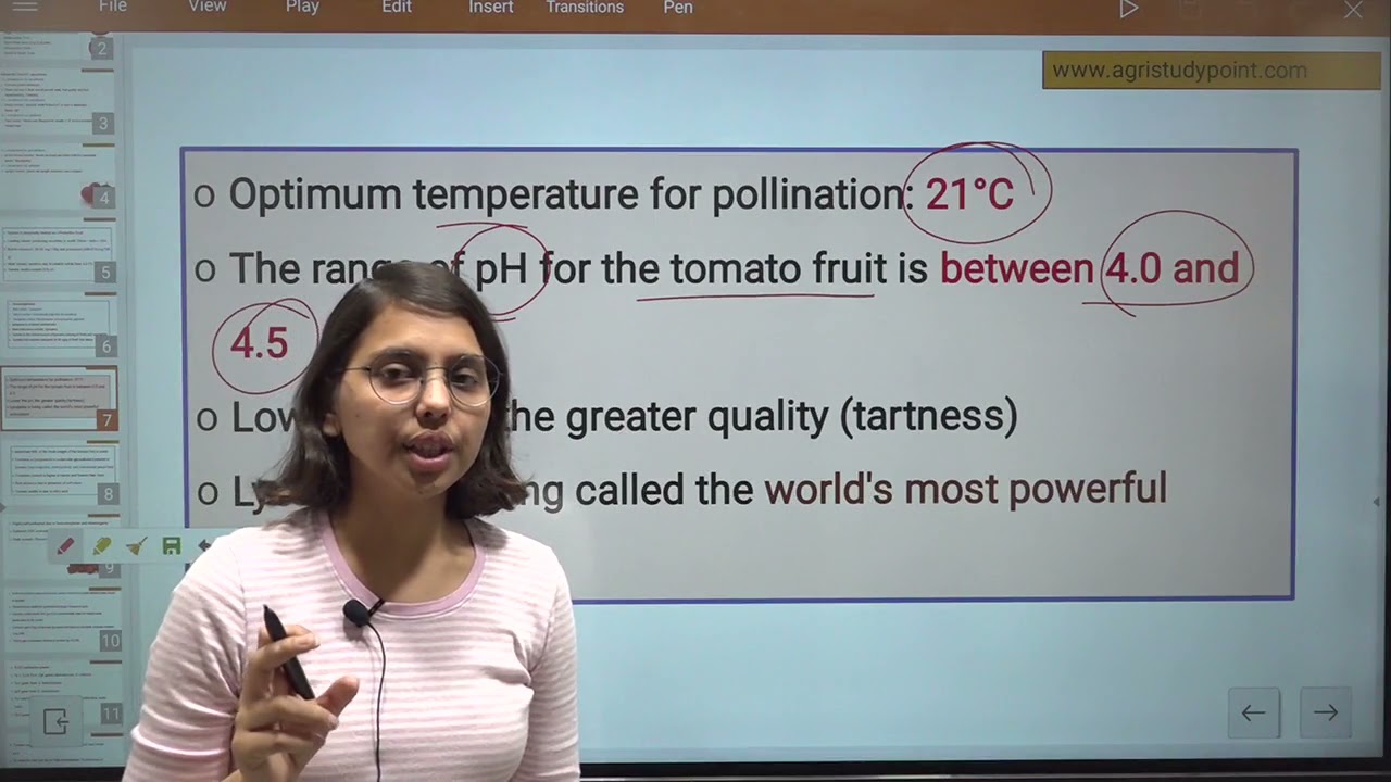 Tomato Production Technology