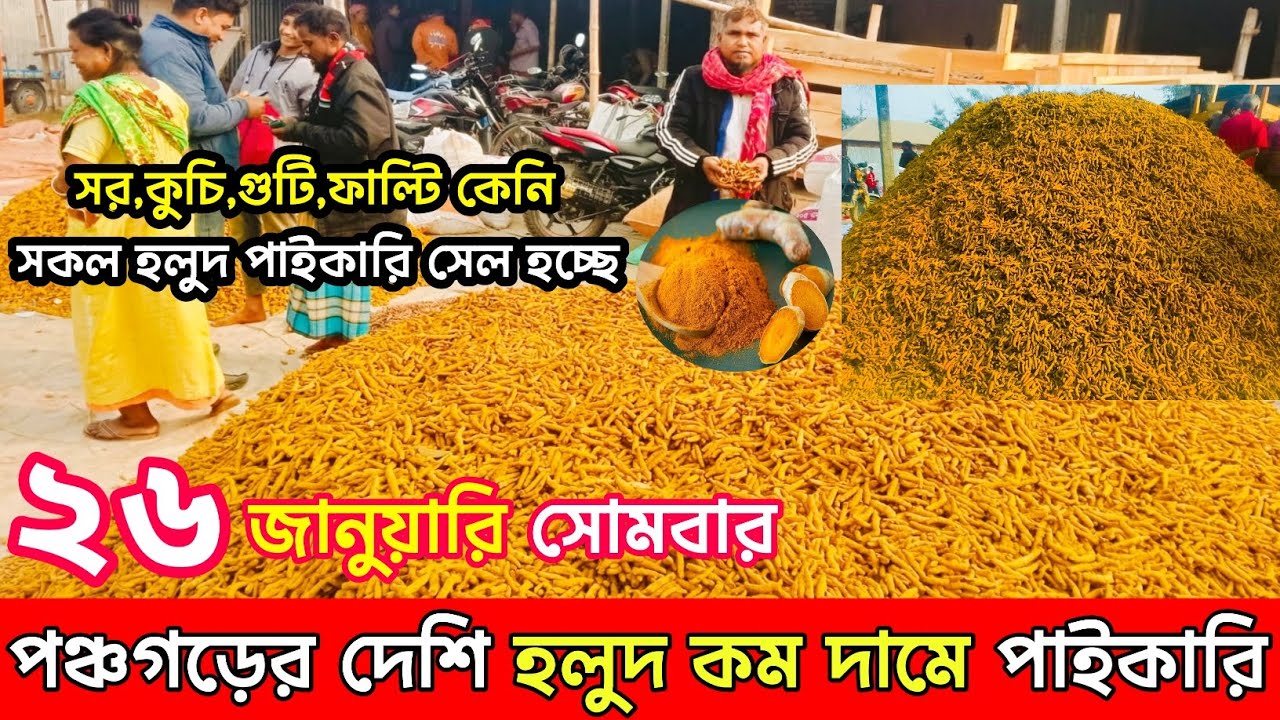 শুকনা হলুদের পাইকারি বাজার | পঞ্চগড় বসুনিয়া হলুদের পাইকারি বাজার |