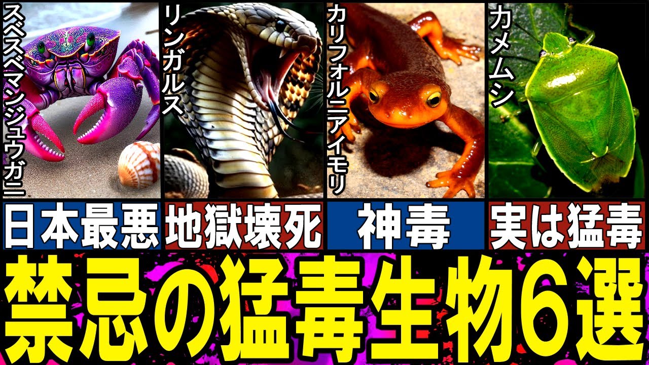 【閲覧注意】 オーバーキルすぎる猛毒生物６選【ゆっくり解説】【動物おもしろ雑学】