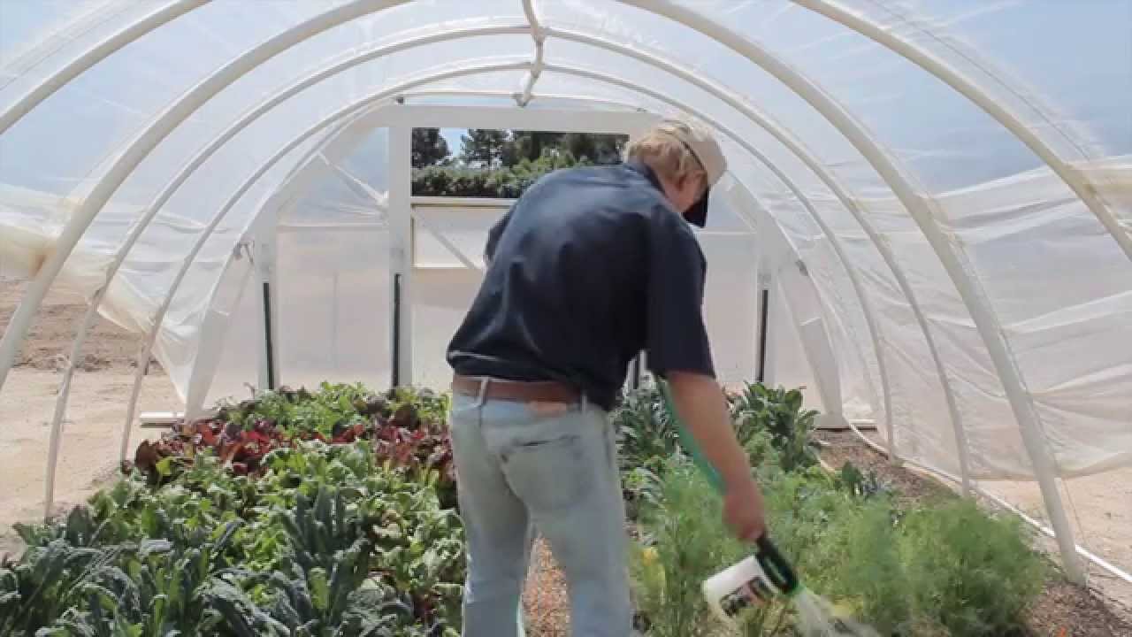 How to apply Beneficial Nematodes in the Garden by ARBICO Organics