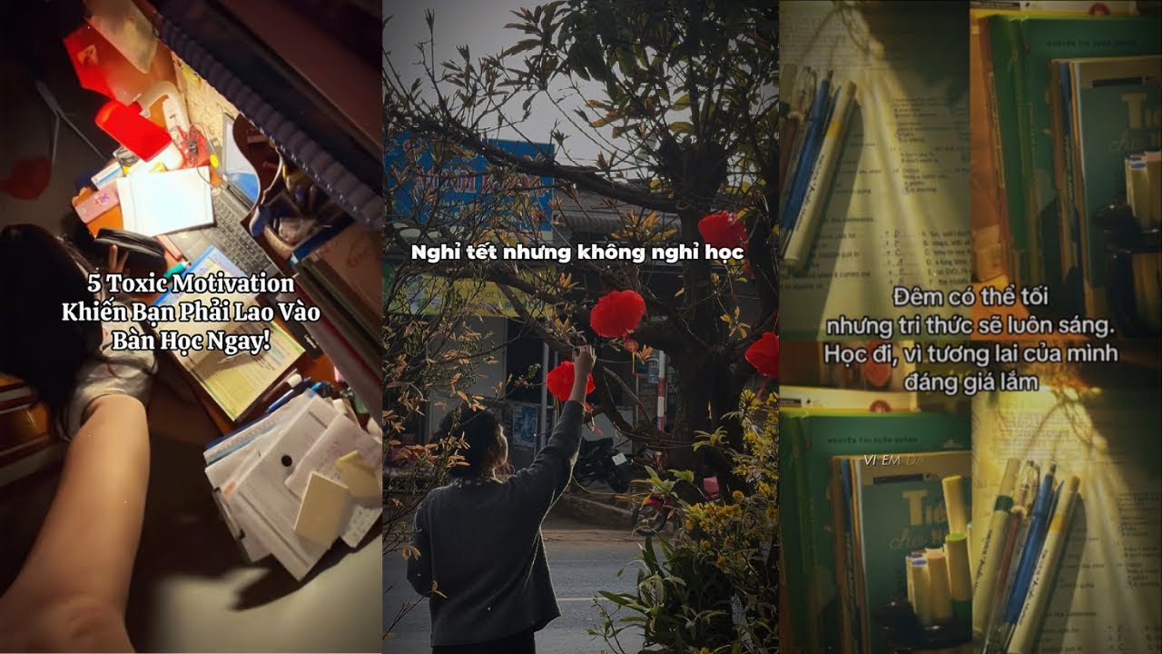 Playlist nhạc Tết học bài - khai bút đầu năm | meryl