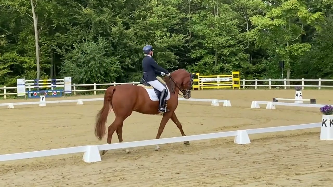 FBW Löwenherz siegt in der M3 in Nordstetten mit 7,3.