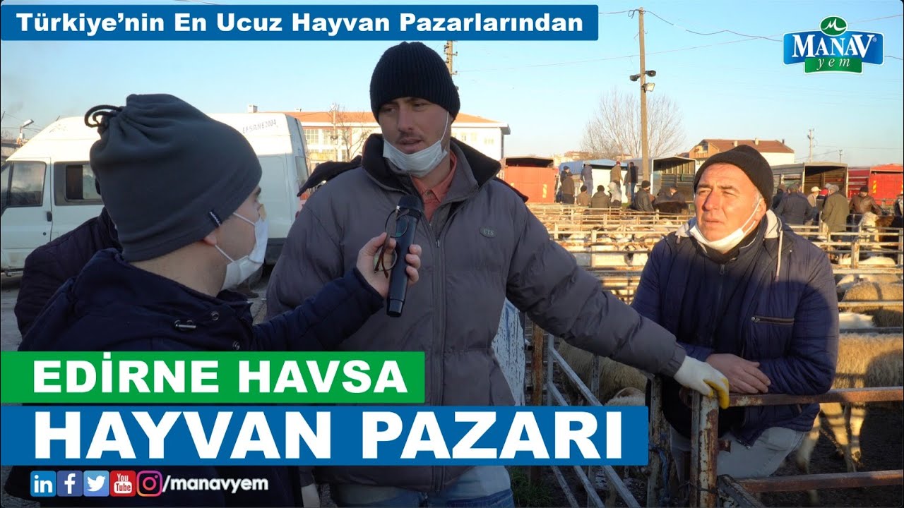 Edirne Havsa Hayvan Pazarı | Türkiye'nin En Ucuz Hayvan Pazarlarından