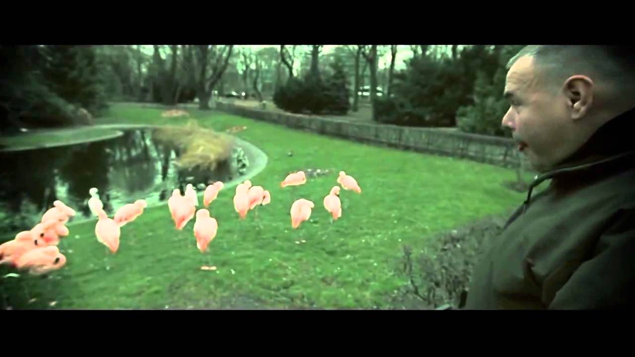 FAZI  NAGŁY ATAK SPAWACZA    UKULANA