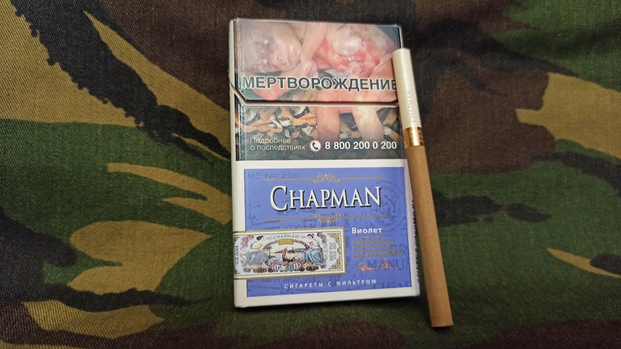 Новый Chapman ВИНОГРАД в формате 